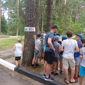 Оздоровительный  лагерь Чайка