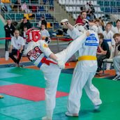 2025 «Kyokushin Profi Belarus Open»