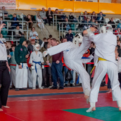  Спортивно- массовое мероприятие  «Kyokushin Profi Belarus Open» 2026.