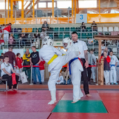  Спортивно- массовое мероприятие  «Kyokushin Profi Belarus Open» 2026.