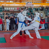  Спортивно- массовое мероприятие  «Kyokushin Profi Belarus Open» 2026.