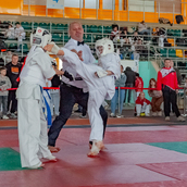  Спортивно- массовое мероприятие  «Kyokushin Profi Belarus Open» 2026.
