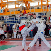 Спортивно- массовое мероприятие  «Kyokushin Profi Belarus Open» 2026.