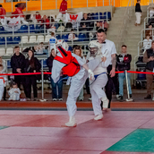  Спортивно- массовое мероприятие  «Kyokushin Profi Belarus Open» 2026.