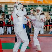  Спортивно- массовое мероприятие  «Kyokushin Profi Belarus Open» 2026.