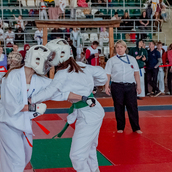 Спортивно- массовое мероприятие  «Kyokushin Profi Belarus Open» 2026.