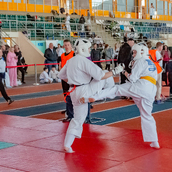 Спортивно- массовое мероприятие  «Kyokushin Profi Belarus Open» 2026.