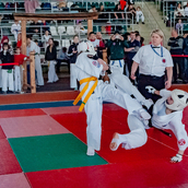  Спортивно- массовое мероприятие  «Kyokushin Profi Belarus Open» 2026.