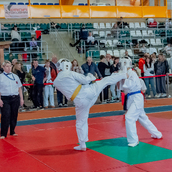  Спортивно- массовое мероприятие  «Kyokushin Profi Belarus Open» 2026.