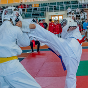 Спортивно- массовое мероприятие  «Kyokushin Profi Belarus Open» 2026.