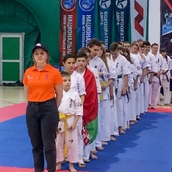 2-й Открытый Кубок Содружества Федераций Киокушинкай каратэ