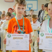 Кубок новичка