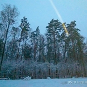 Новогодний праздник