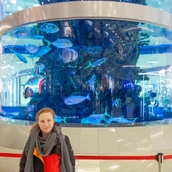 Кубок Содружества 2019