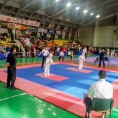 Кубок Полесья  2019