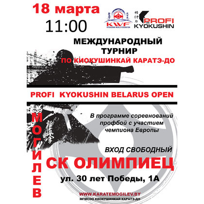 Проведение  международного турнира по киокушинкай каратэ-до «Profi Kyokushin Belarus Open»